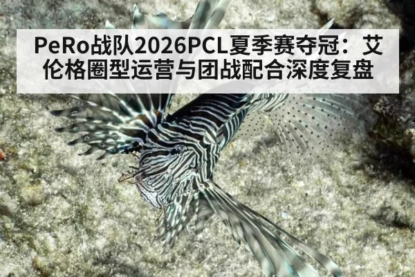 PeRo战队2026PCL夏季赛夺冠：艾伦格圈型运营与团战配合深度复盘